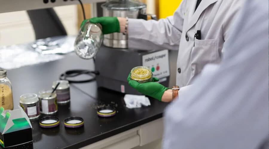 Medizinisches Cannabis Labor